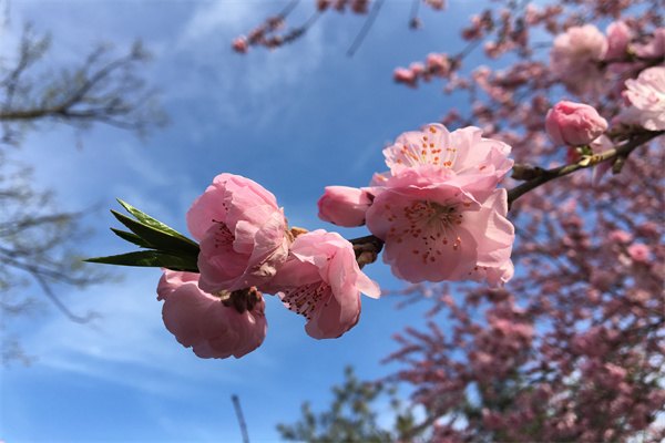 英国北安普顿大学1年制硕士春季正在招生中