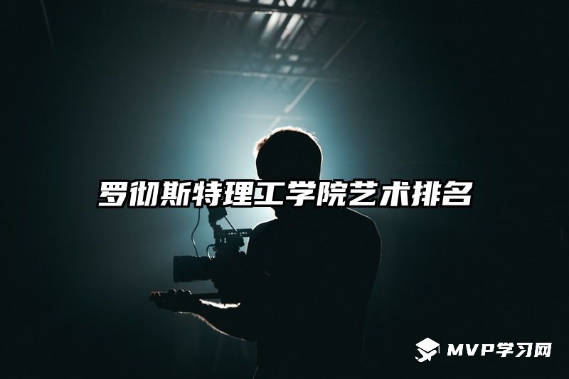 罗彻斯特理工学院艺术排名