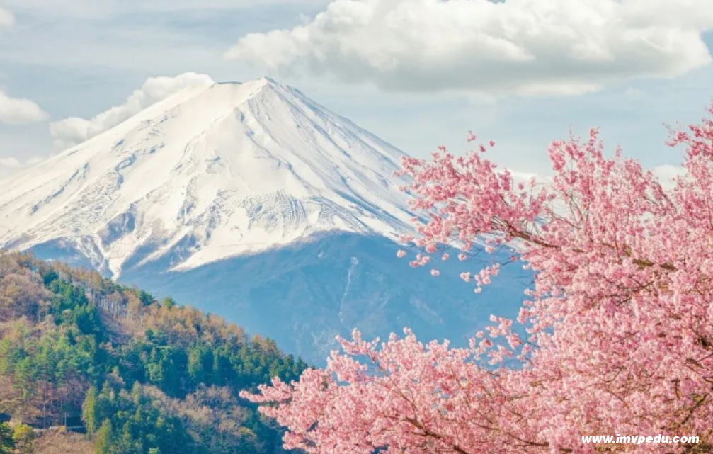 日本本科美术留学