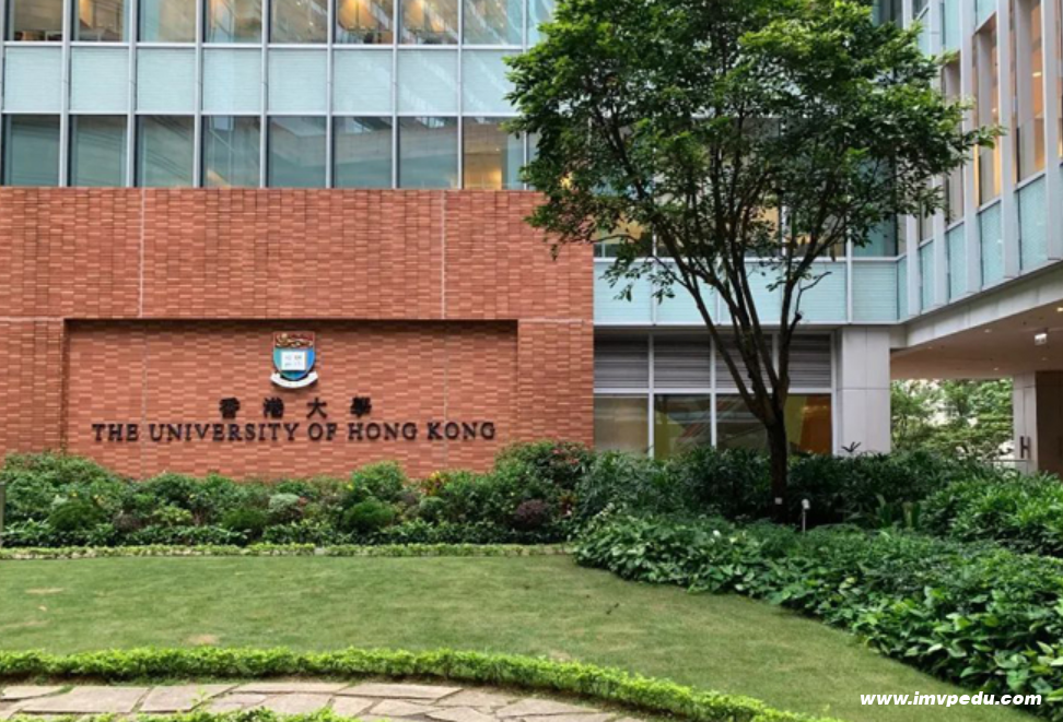 香港大学研究生专业